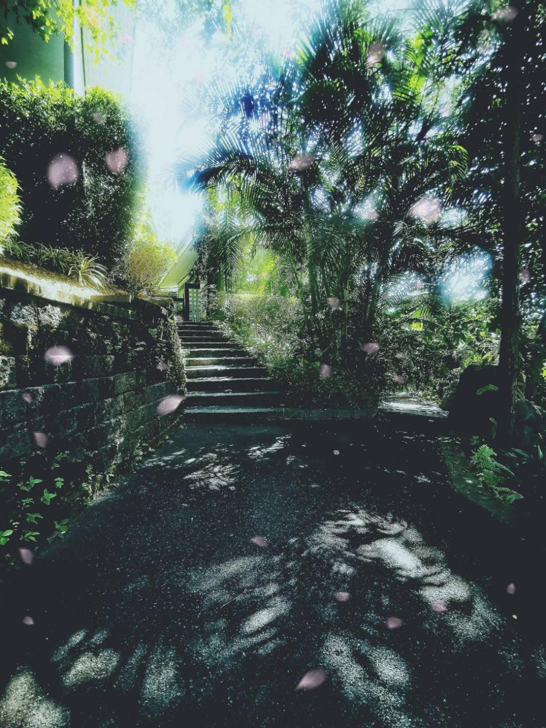 Bangnu Greenery Resort Takua Thung Exterior photo