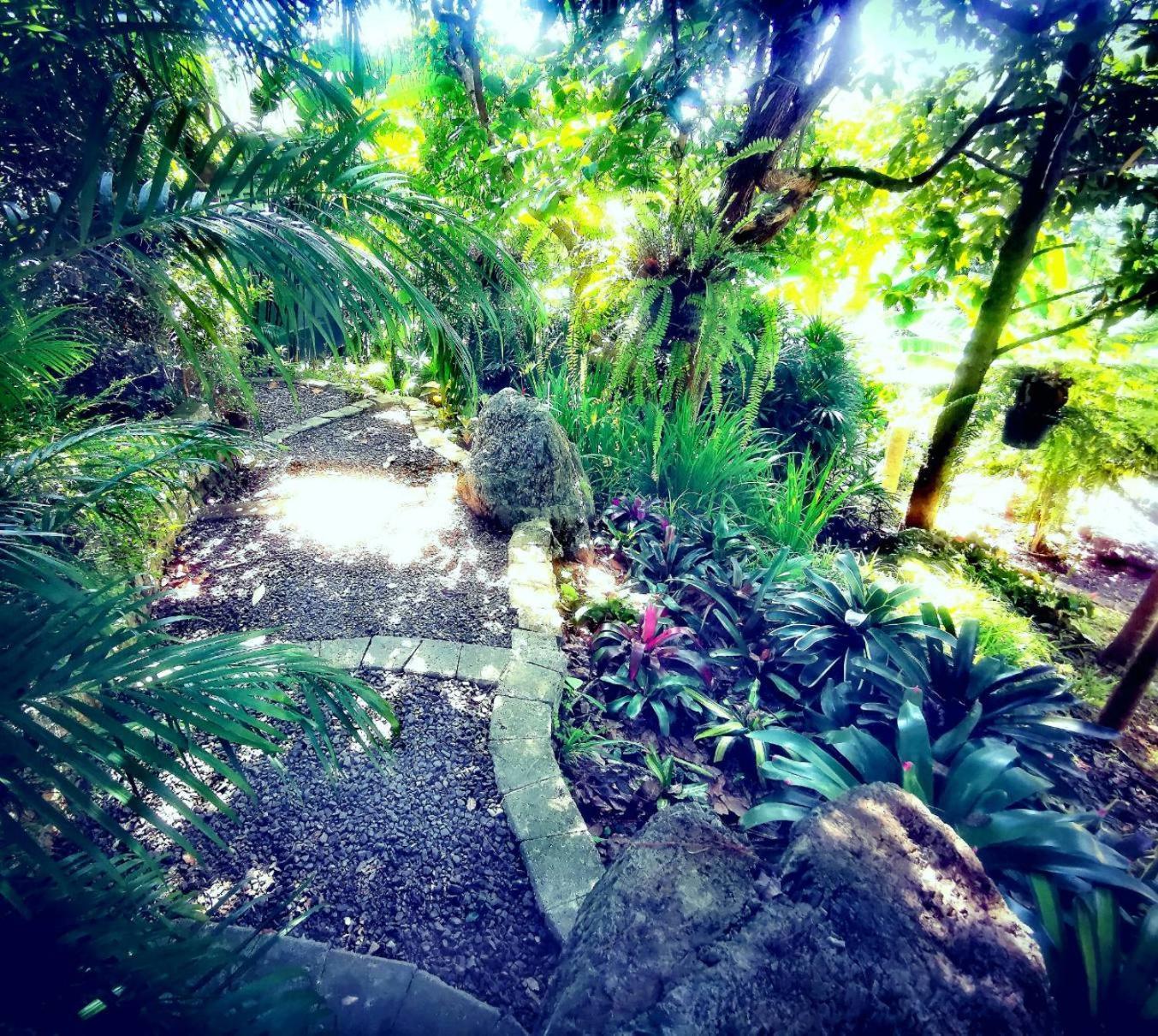 Bangnu Greenery Resort Takua Thung Exterior photo
